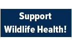 Make a Gift to the Karen C. Drayer Wildlife Health Center