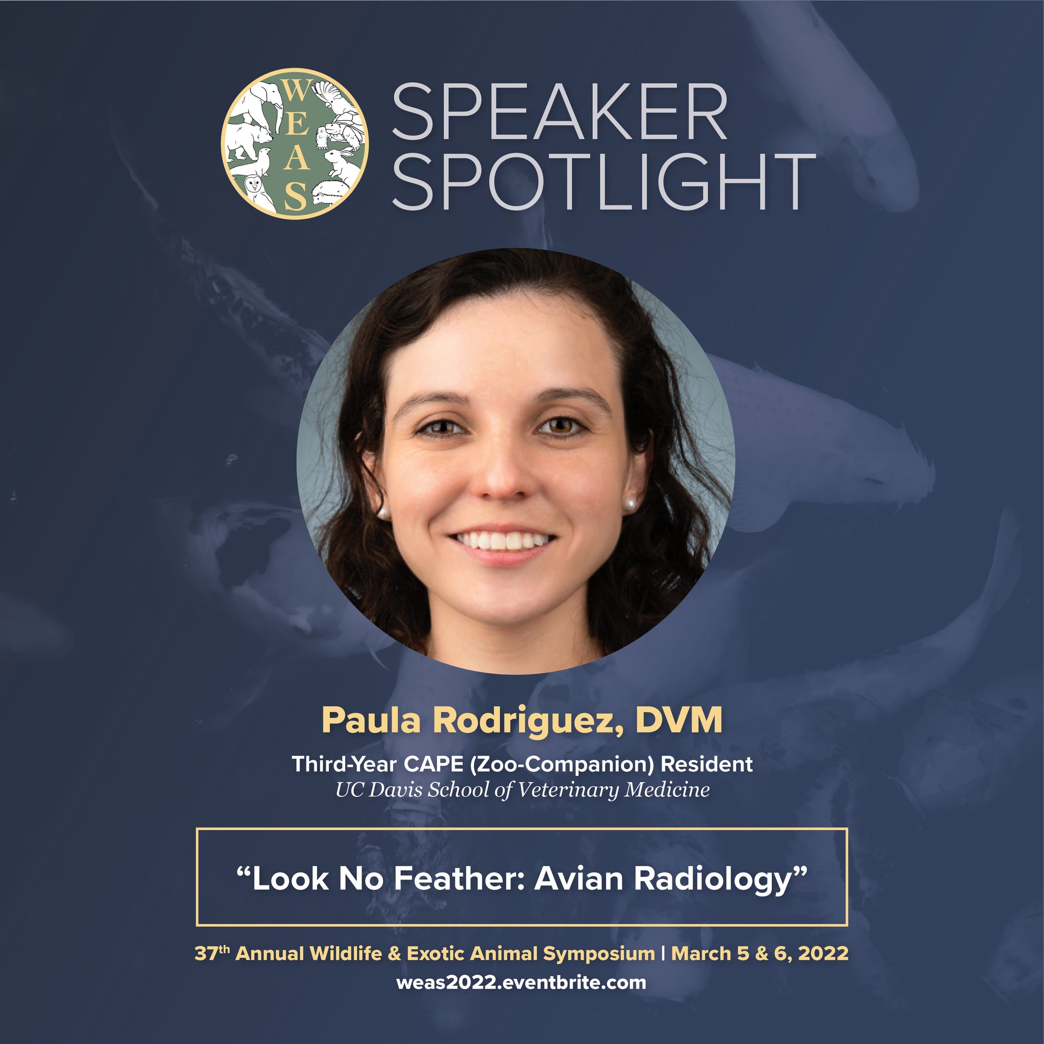 Photo of speaker