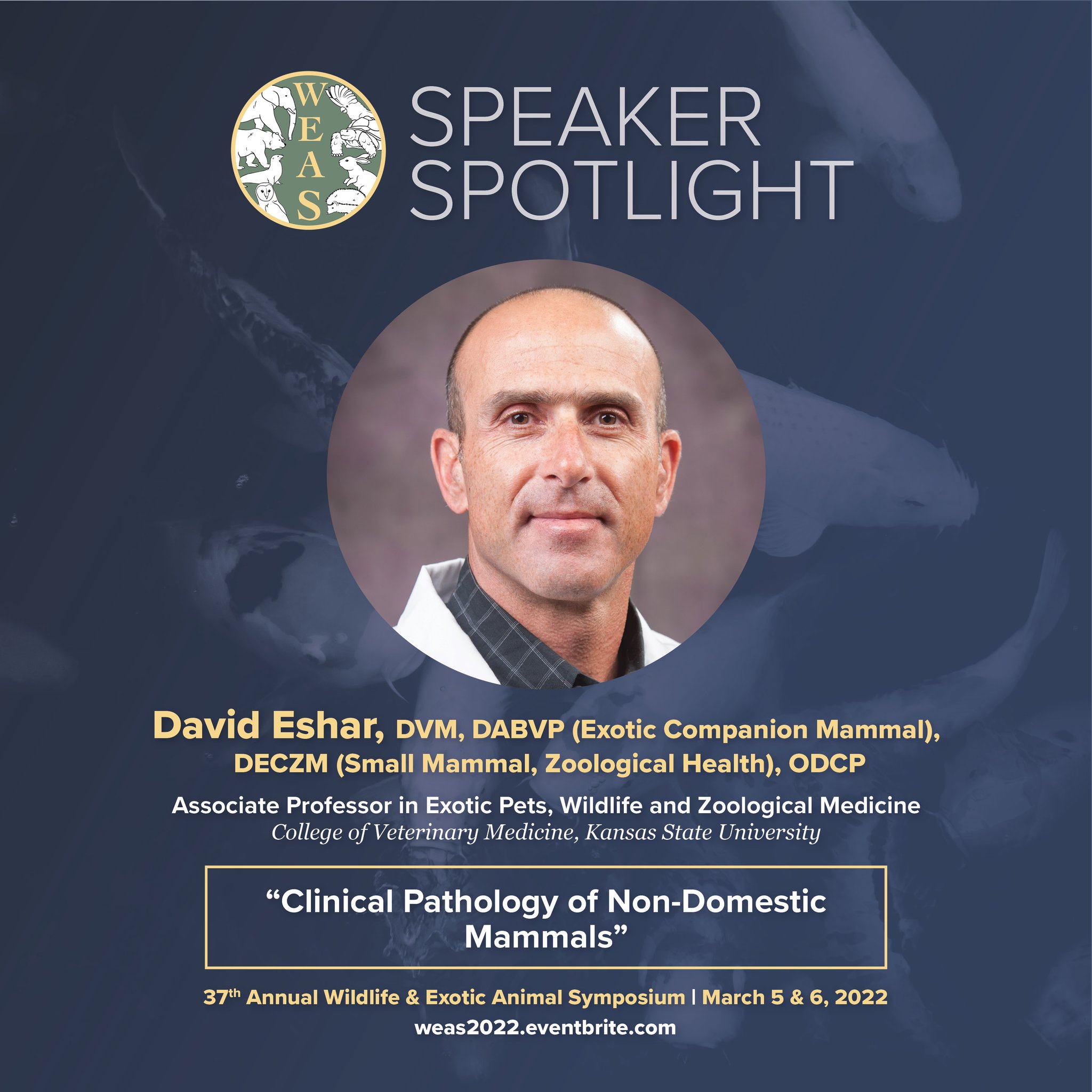 Photo of speaker