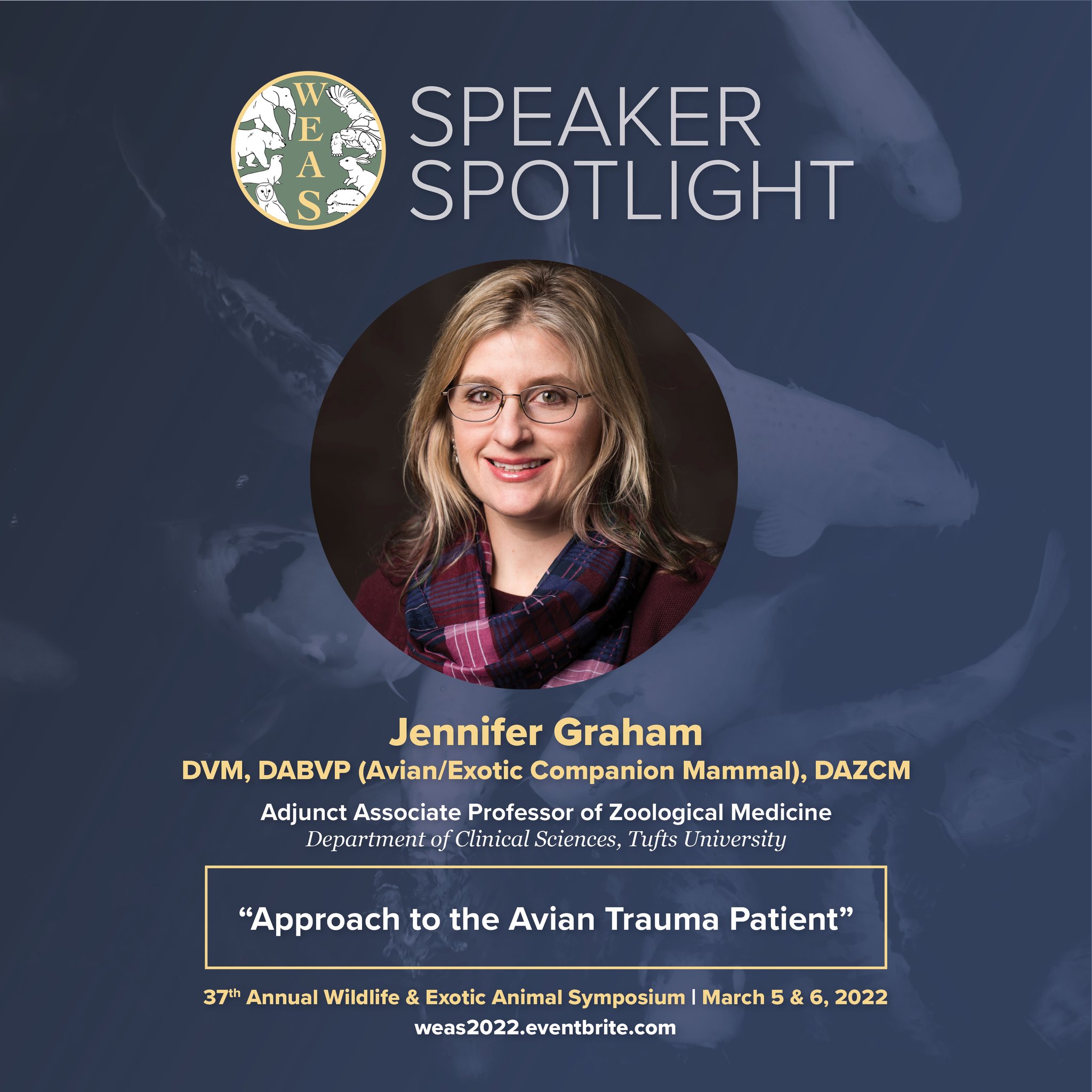 Jennifer Graham photo