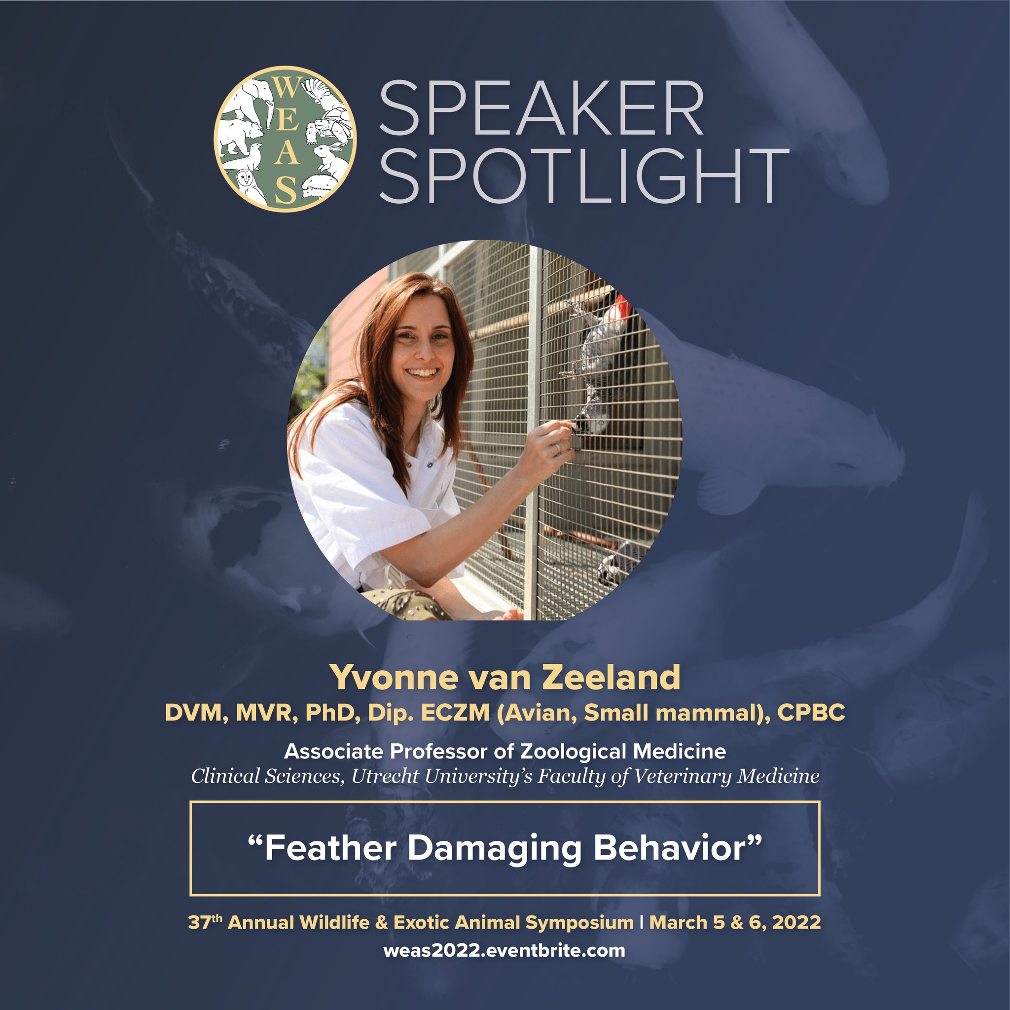 Photo of speaker