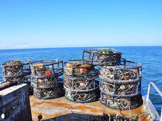 crab pots
