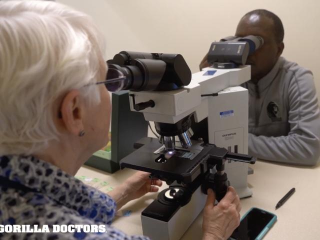 Dr. Noel training on pathology with Dr. Linda Lowenstine at UC Davis