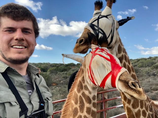 calvin price with giraffes