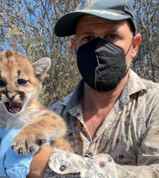 Jamie Bourdon holding baby mountain lion