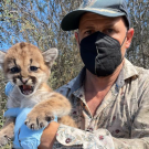 Jamie Bourdon holding baby mountain lion