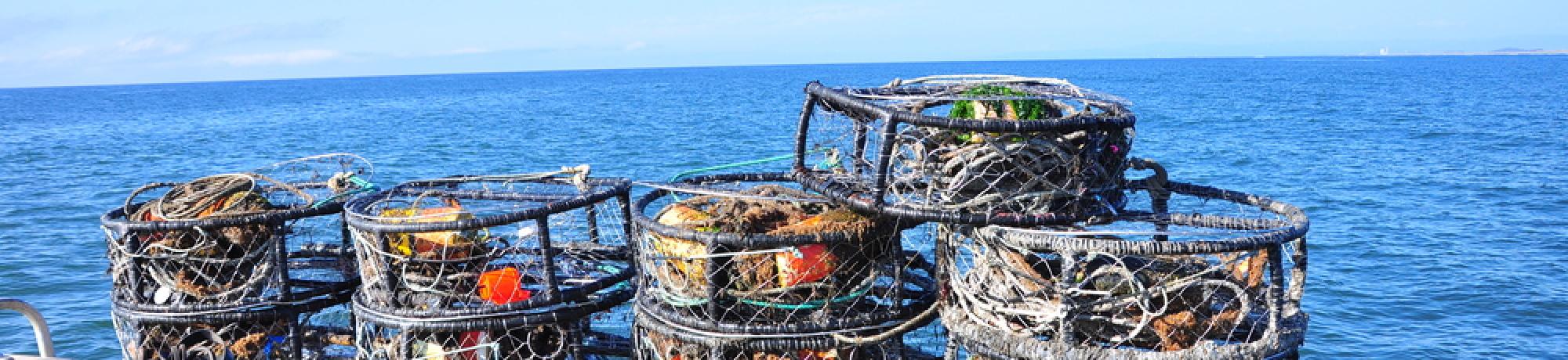 crab pots